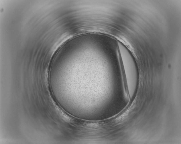 X0000088900798200706291503