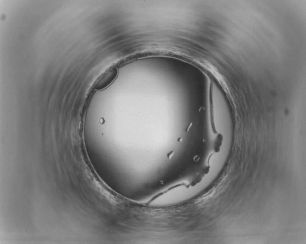 X0000088900799200706291503