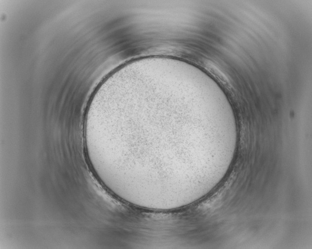 X0000088900800200706291503