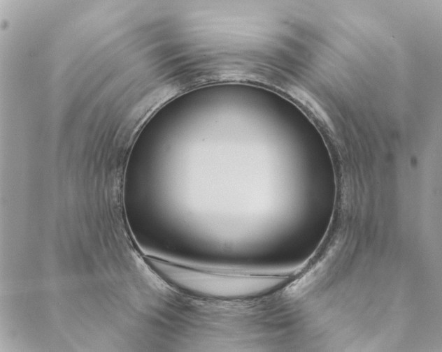 X0000088900801200706291503