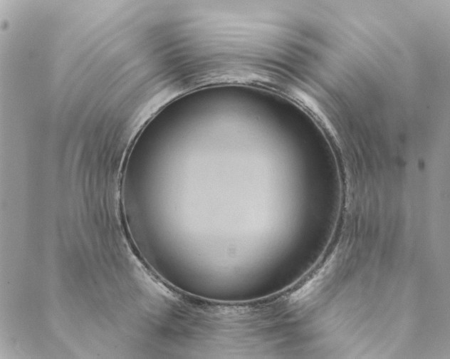 X0000088900802200706291503