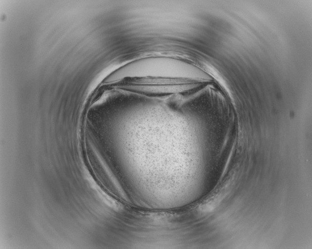 X0000088900803200706291503