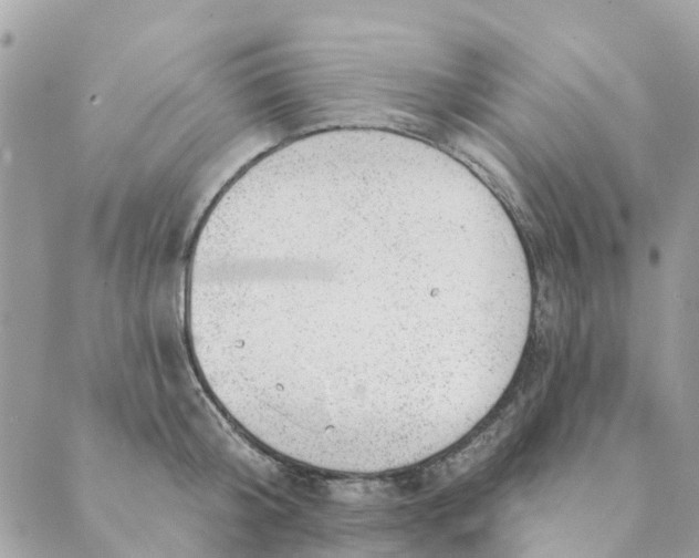 X0000088900804200706291503