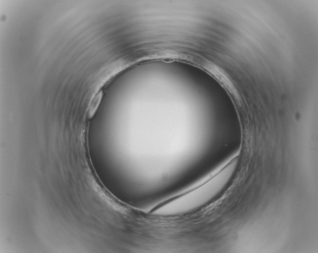 X0000088900805200706291503