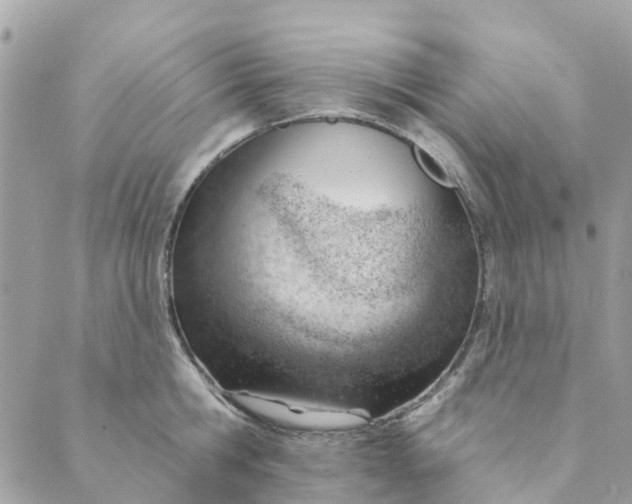 X0000088900806200706291503