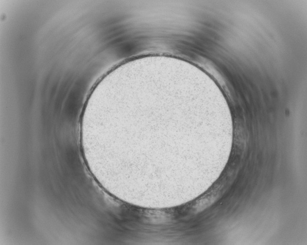 X0000088900807200706291503