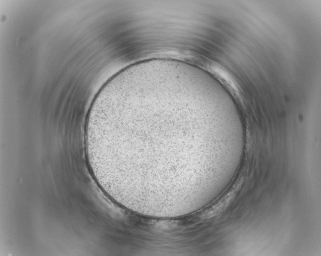 X0000088900808200706291503