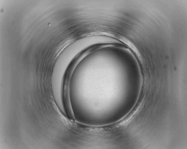 X0000088900809200706291503