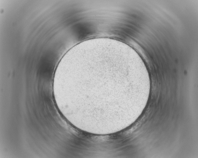 X0000088900810200706291503