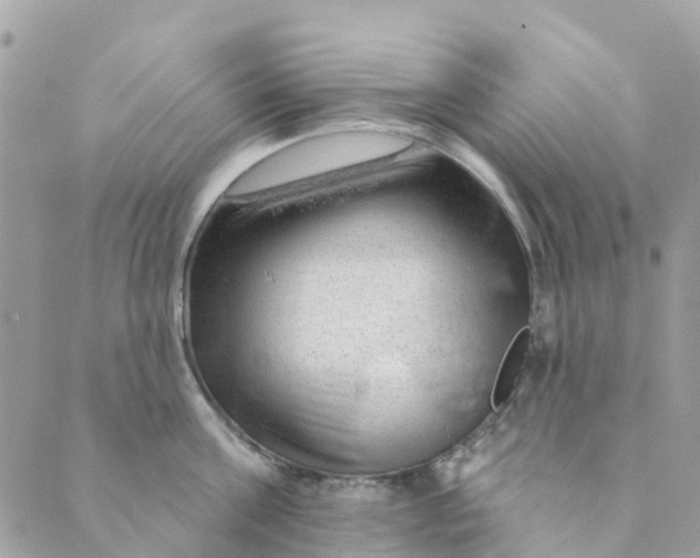 X0000088900811200706291503