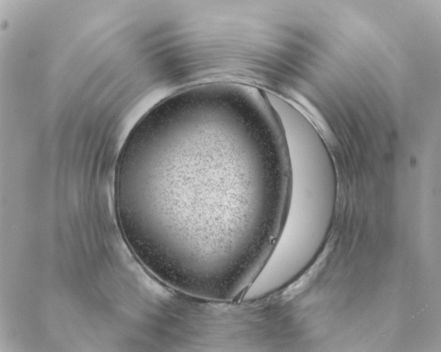 X0000088900812200706291503