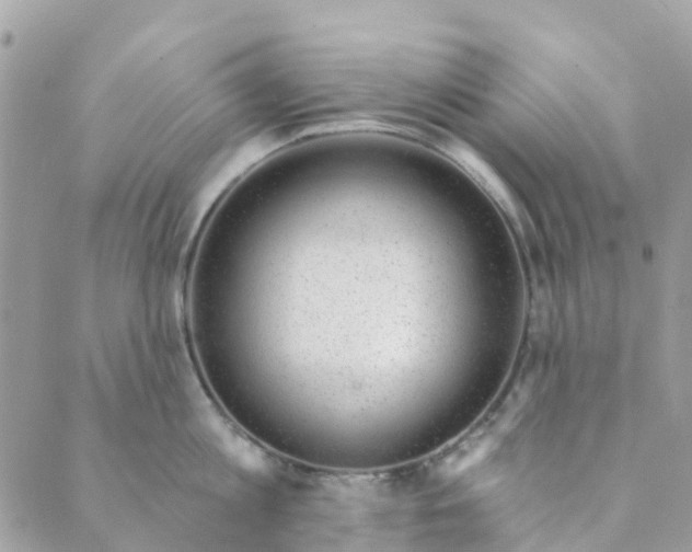 X0000088900813200706291503