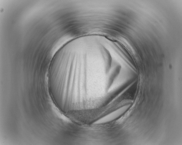 X0000088900814200706291503