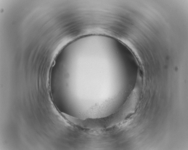 X0000088900815200706291503