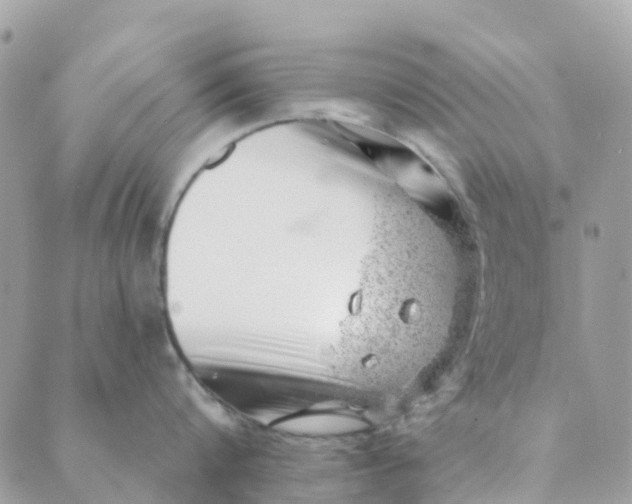 X0000088900816200706291503