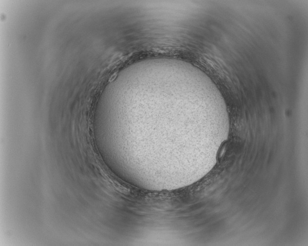 X0000088900817200706291502