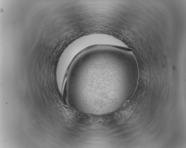 X0000088900818200706291502