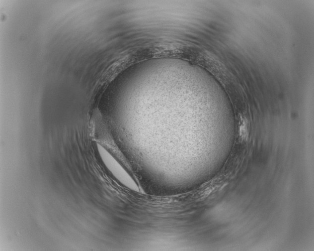 X0000088900819200706291502