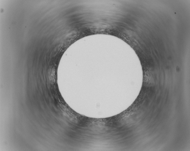 X0000088900820200706291502