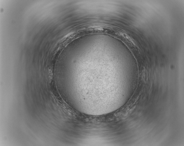 X0000088900821200706291502