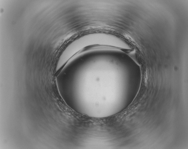 X0000088900822200706291502