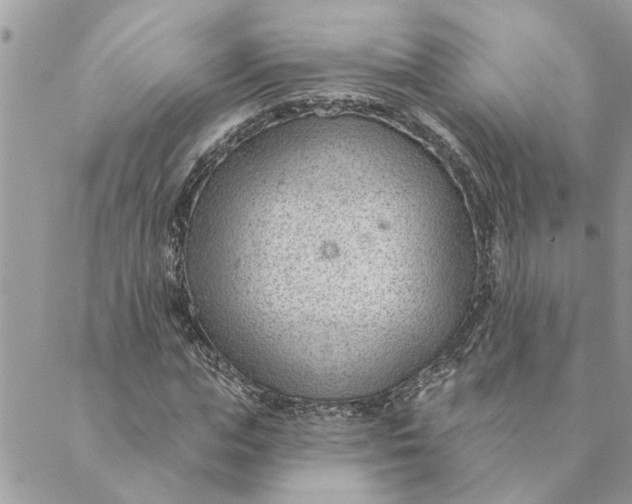 X0000088900823200706291502