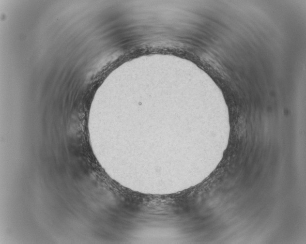 X0000088900824200706291502