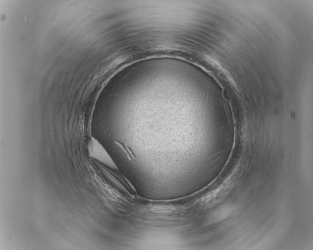 X0000088900825200706291502