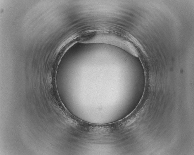 X0000088900826200706291502