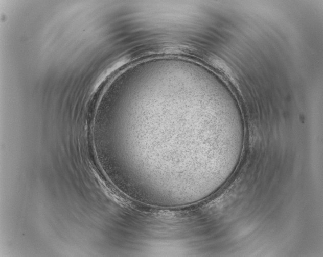 X0000088900827200706291502