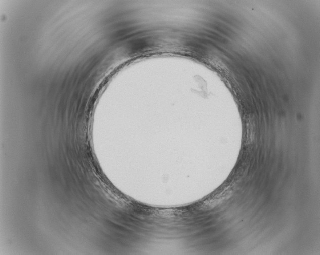 X0000088900828200706291502