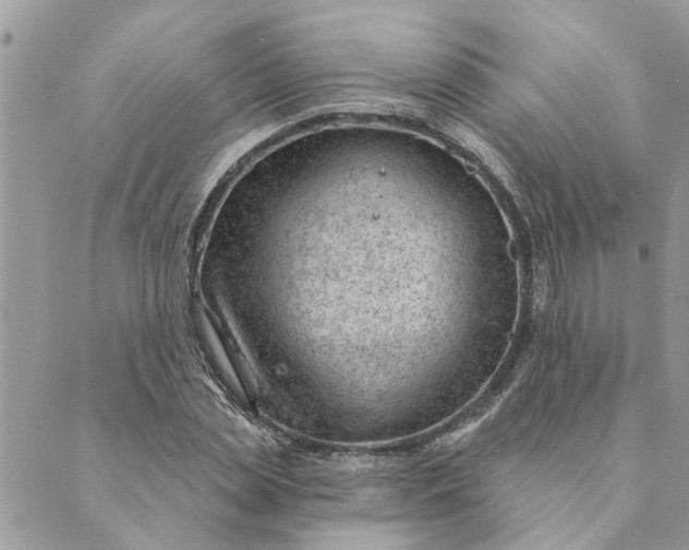 X0000088900829200706291502