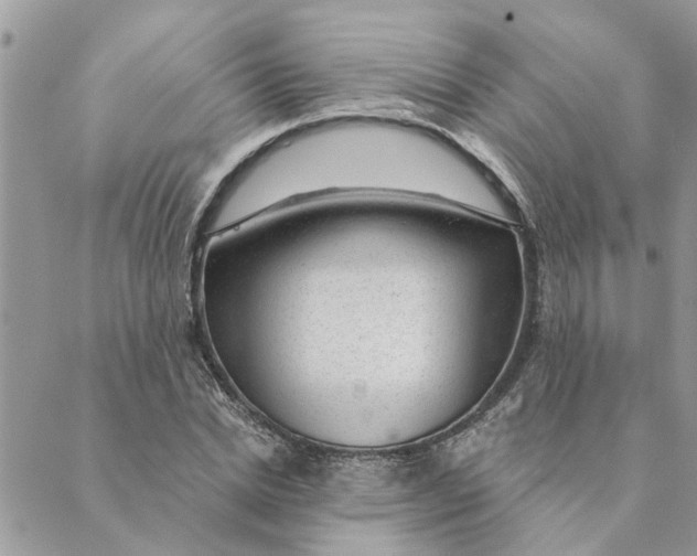 X0000088900830200706291502