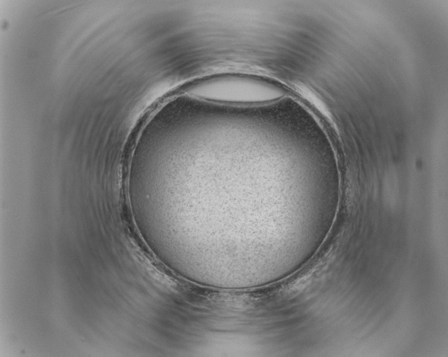 X0000088900831200706291502