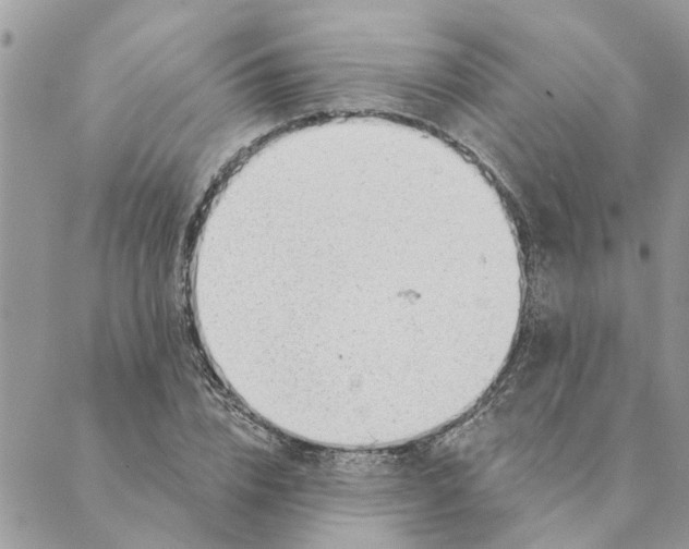 X0000088900832200706291502