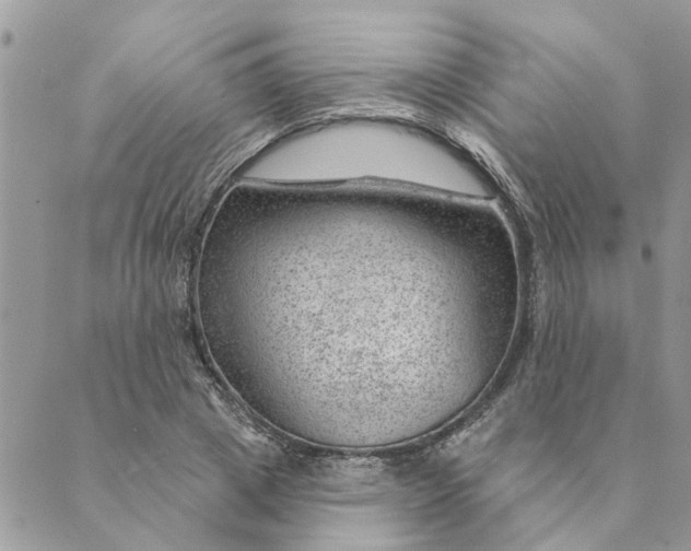 X0000088900833200706291502