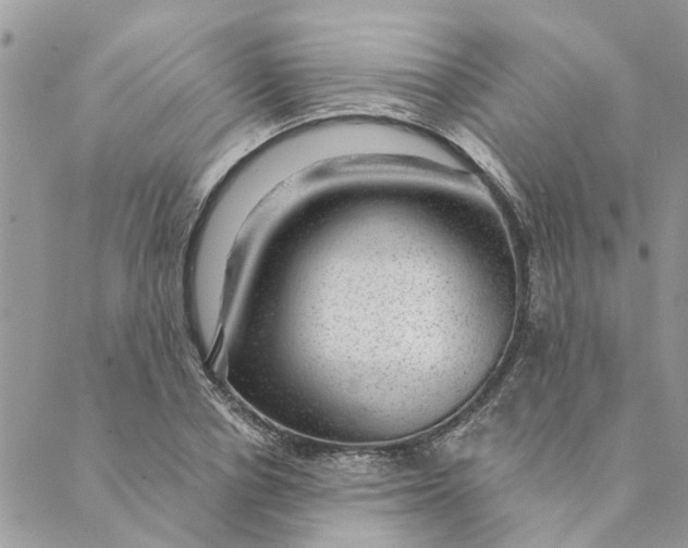 X0000088900834200706291502