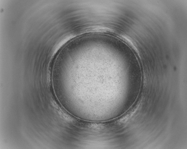 X0000088900835200706291502