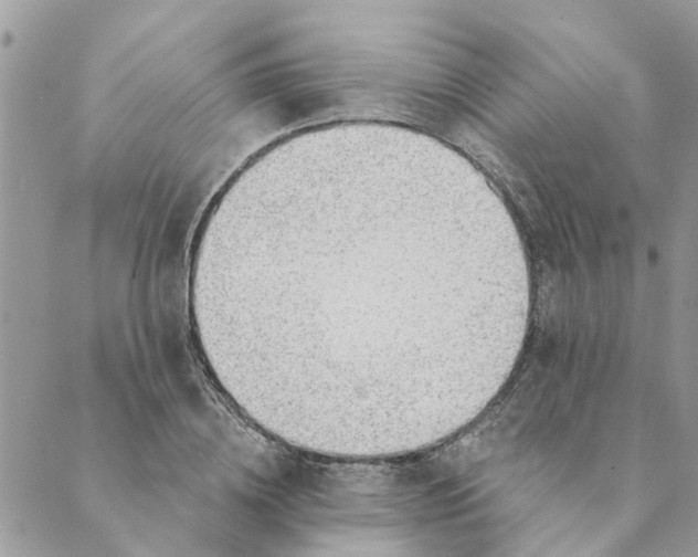 X0000088900836200706291502