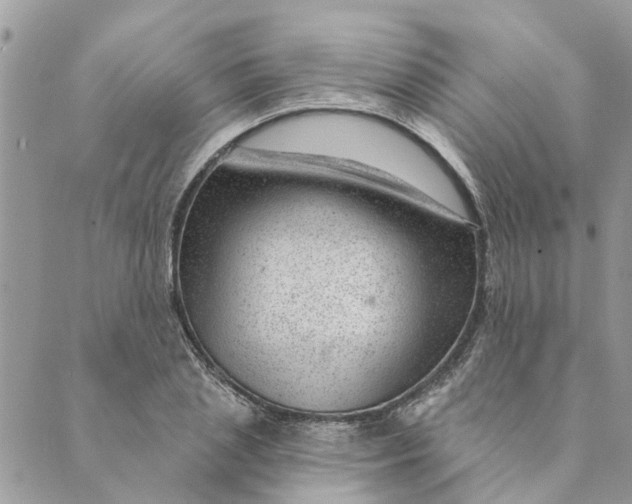 X0000088900837200706291502