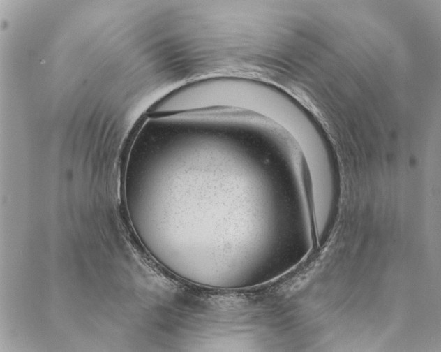 X0000088900838200706291502