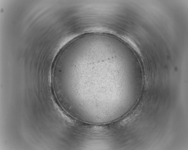 X0000088900839200706291502