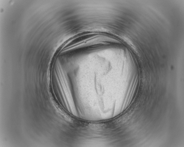 X0000088900840200706291502