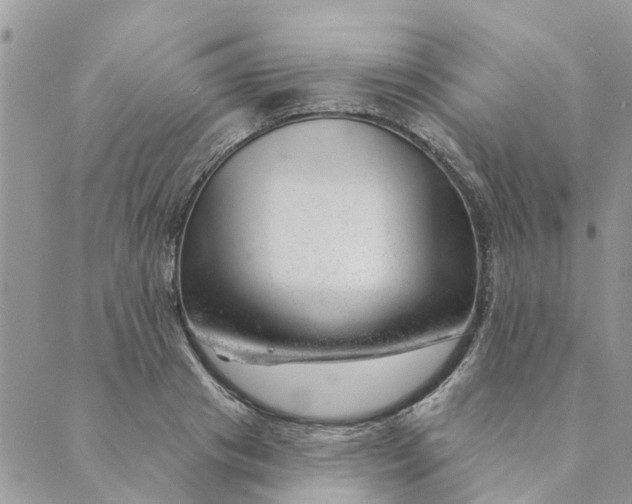 X0000088900841200706291502