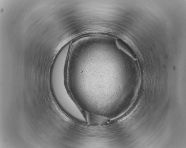 X0000088900842200706291502