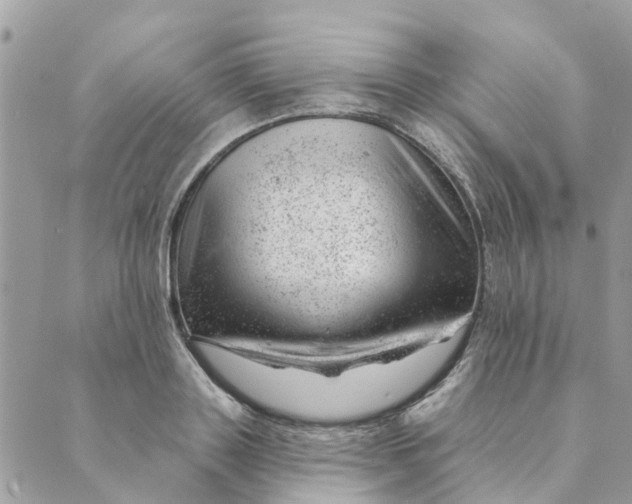 X0000088900843200706291502