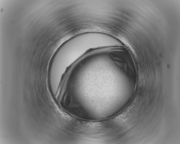 X0000088900845200706291502