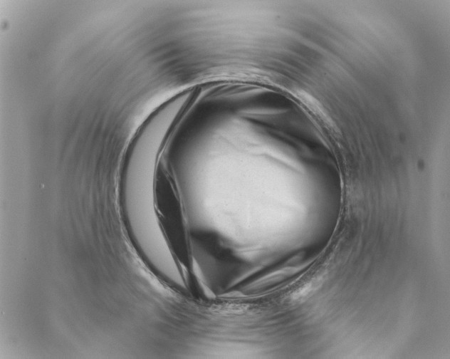 X0000088900846200706291503