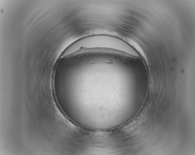 X0000088900847200706291503