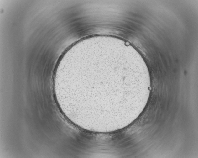 X0000088900848200706291503